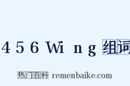 456Wing组词是什么意思的图片